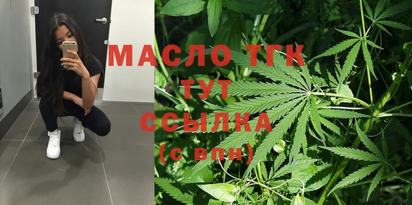 сатива Заводоуковск