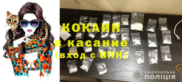 сатива Заводоуковск