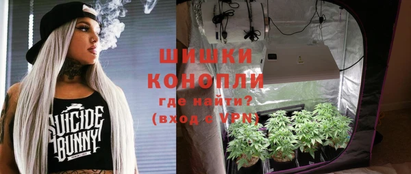 сатива Заводоуковск