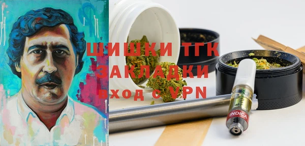 сатива Заводоуковск