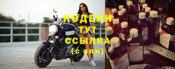сатива Заводоуковск