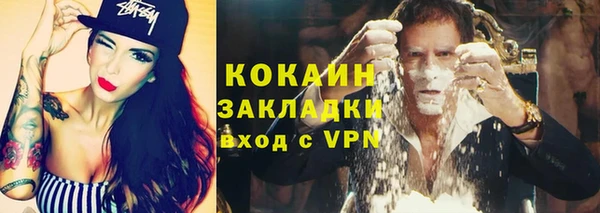 сатива Заводоуковск